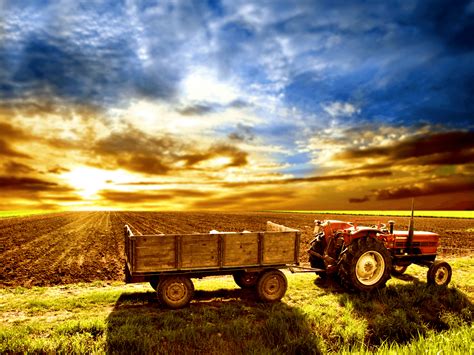 Sunrise Farm Wallpapers - 4k, HD Sunrise Farm Backgrounds on WallpaperBat