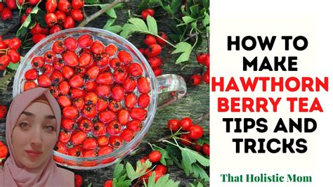 How to Make Hawthorn Berry Tea: Tips and Tricks - YouTube