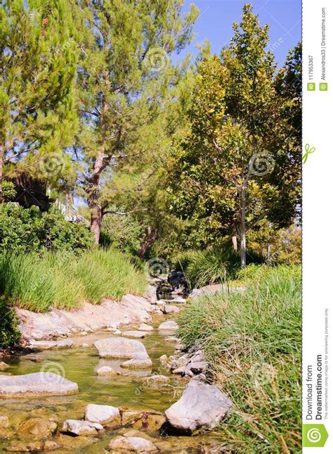 Beautiful Landscape Along Creek Stock Image - Image of adventure, leaf: 117953367