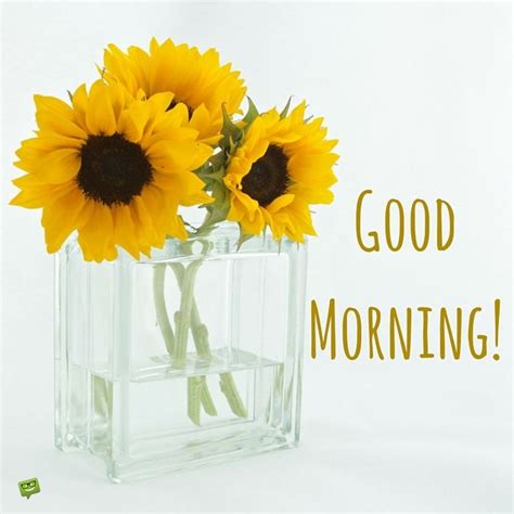 Good Morning Sunflowers Quote Pictures, Photos, and Images for Facebook, Tumblr, Pinterest, and ...