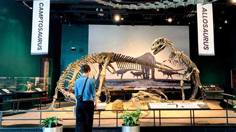 Plan your visit to the Science Museum of Minnesota | Science Museum of Minnesota