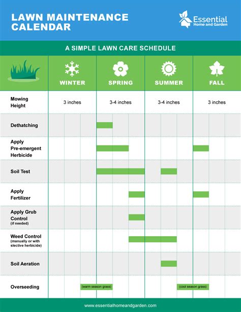 Year-Round Lawn Care Schedule - From Winter To Fall