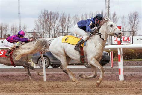 Arab horse racing | Race for arabian horses at Jägersro, Mal… | Flickr