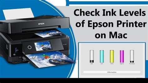 How To Check Ink Levels On Epson Printer In Windows 10 and Mac? [Fix]