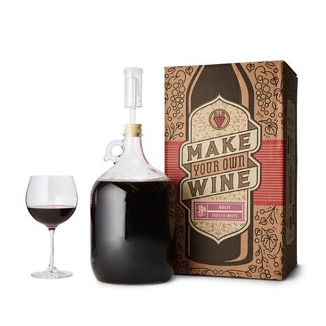 Top 15 Best Wine Making Kits Reviews 2023