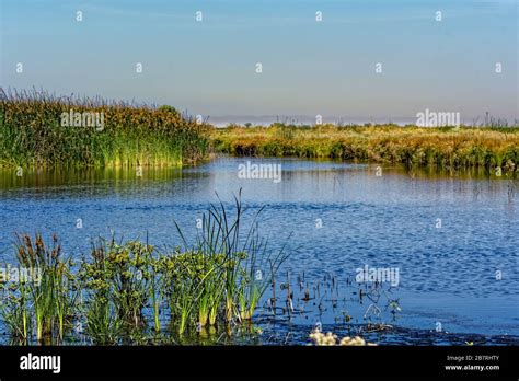 Alviso Marina County Park in Alviso California USA Stock Photo - Alamy