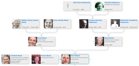 Elon Musk’s family tree - Blog for Entitree