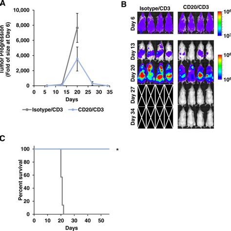 Development of nanoparticle bispecific T-cell engagers (nanoBiTEs) A... | Download Scientific ...