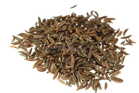 Caraway stock photo. Image of ingredient, caraway, flavor - 20417810