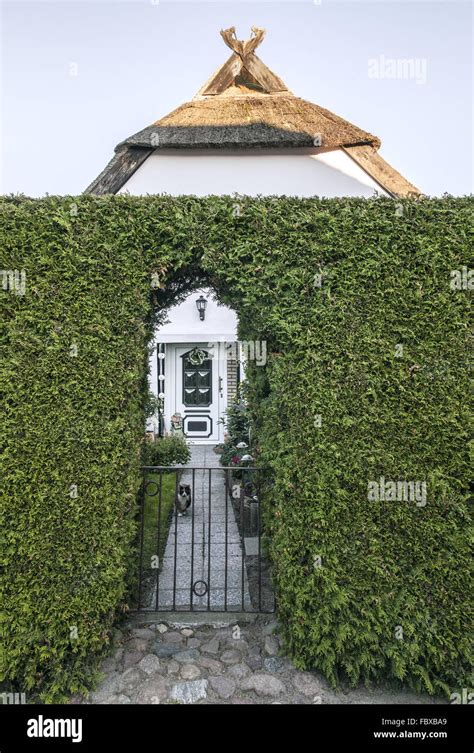 House motive in Greifswald - Wieck Stock Photo - Alamy