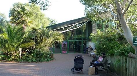 Paignton Zoo: 'Code red' as animal escapes at popular UK attraction as ...