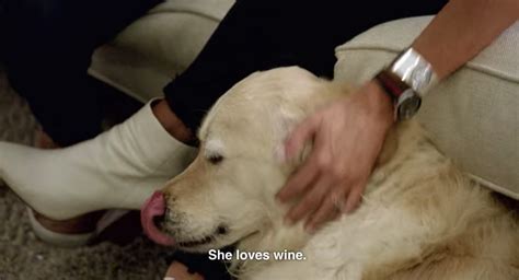 Love Is Blind star Jessica talks alcohol and giving her dog wine