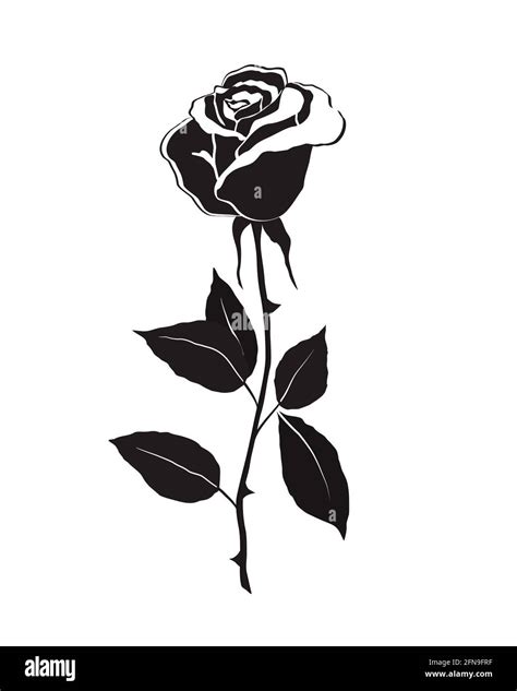 Rose Flower Vector Black And White