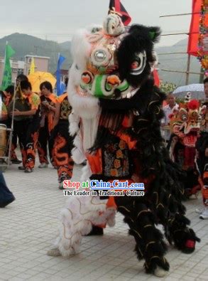 Unique Double Colors Lion Dance Costumes