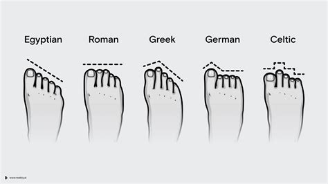 The evolution of your feet | Neatsy Blog