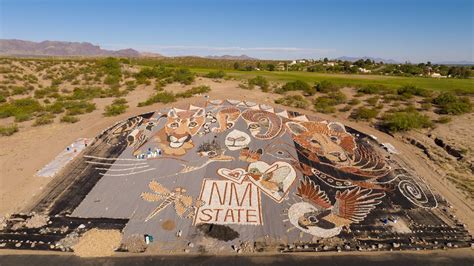 Las Cruces artist continues work on wildlife inspired rock mural at ...