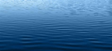 Water Surface Photos, Download The BEST Free Water Surface Stock Photos ...