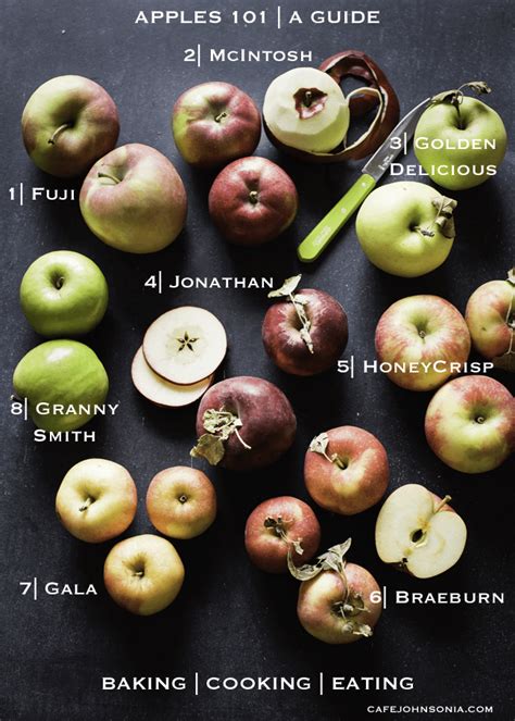 Fall Apple Variety Guide | Cafe Johnsonia