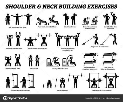 Gym Exercises For Shoulders And Neck - Exercise Poster