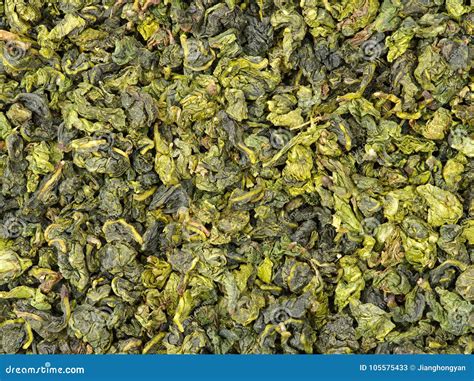 Dry Green Oolong Tea Leaves Stock Image - Image of champignon, lily: 105575433