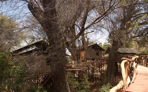 Sarara Treehouses | Amazing Adventures Travel