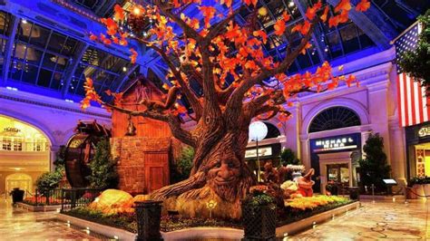 Bellagio Conservatory & Botanical Gardens (FREE)