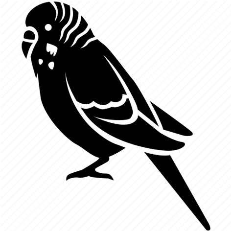 Avian, aviary, bird, budgerigar, budgie, parakeet, pet icon