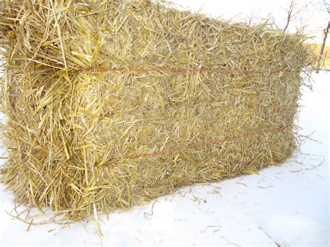 Small Square Straw Bales near Manhattan, Kansas - Hay Bales - HitchPin