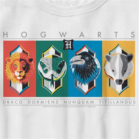 Boy's Harry Potter Hogwarts House Mascots T-Shirt – Fifth Sun