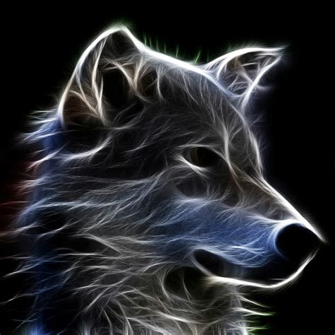 Download Animal Wolf PFP