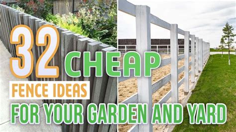 32 Cheap Fence Ideas For Your Garden and Yard - YouTube