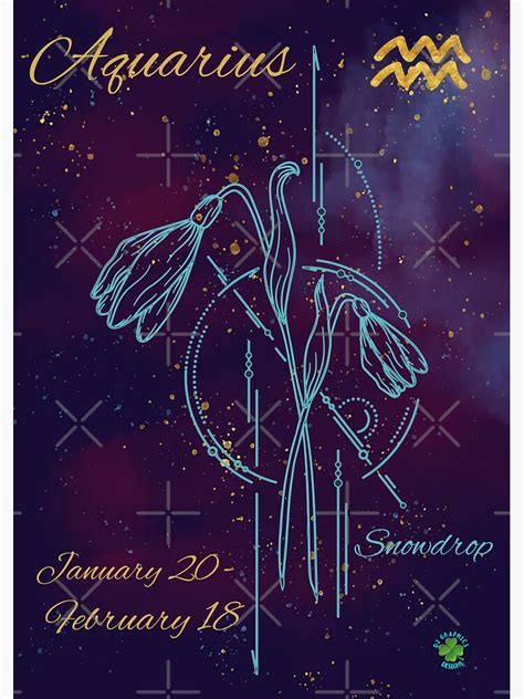 " Aquarius Zodiac Sign January Birth Month Flower Snowdrop Night Sky" Sticker for Sale by ...