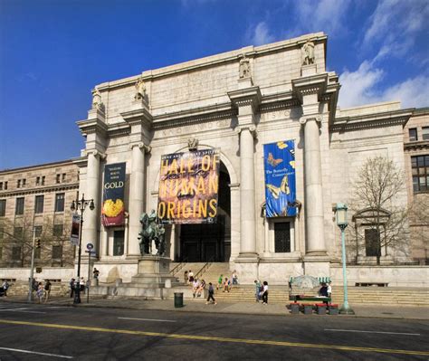 Museum of Natural History | Night At The Museum Wiki | Fandom powered by Wikia