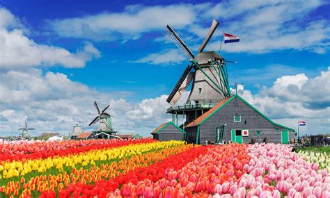Dutch windmills | Attractions & sightseeing in the Netherlands