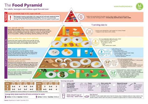 Food Nutrition Charts For Adults