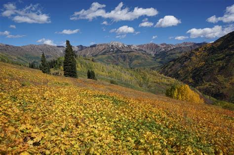 ELK MOUNTAINS - GO HIKE COLORADO