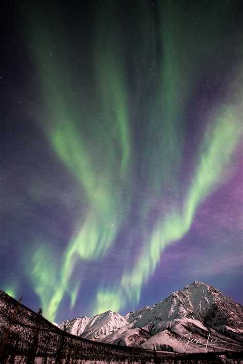 Aurora Photography Workshop - Arctic Circle Alaska. | Photos by Jess Lee