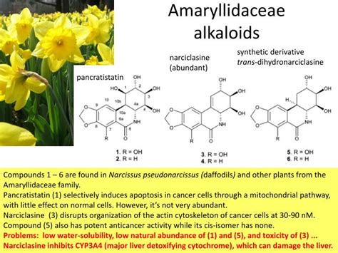 Amaryllidaceae Alkaloids , Source NLM