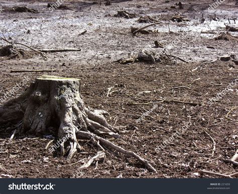 6,345 imágenes de Ugly landscape - Imágenes, fotos y vectores de stock | Shutterstock