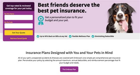 Best Pet Insurance Reviews - Insurancezob