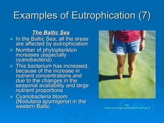 Eutrophication | PPT