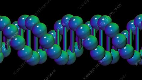 DNA animation - Stock Video Clip - K008/8835 - Science Photo Library