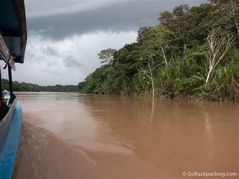 Jaguars and Thunderstorms on the Tambopata River - Go Backpacking