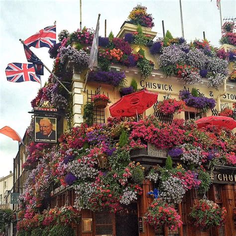 Beautiful flowers adorn The Churchill Arms pub in London | British pub ...