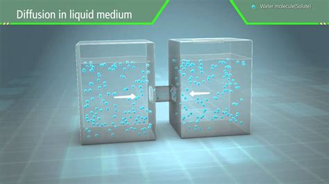 Osmosis Animation Interactive