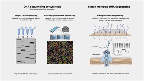 DNA Sequencing