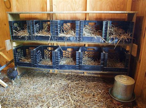 Pin by Gidget Turney on Farm fun | Easy chicken coop, Diy chicken coop ...