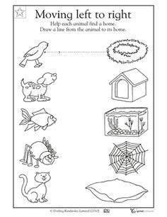 animal worksheet: NEW 817 ANIMAL HOMES WORKSHEET FOR PRESCHOOLERS