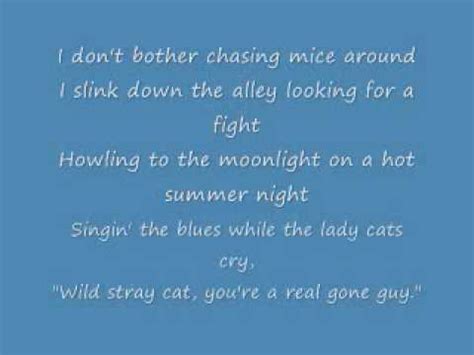 Stray Cat Strut Chords Piano