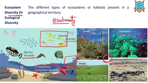 What is Ecosystem Diversity ? || Ecosystem Diversity అంటే ఏమిటి? || La Excellence - YouTube